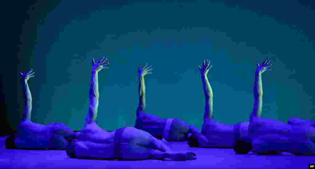 Para penari ballet pria asal Inggris melakukan gladi resik di gedung opera Sydney, Australia.