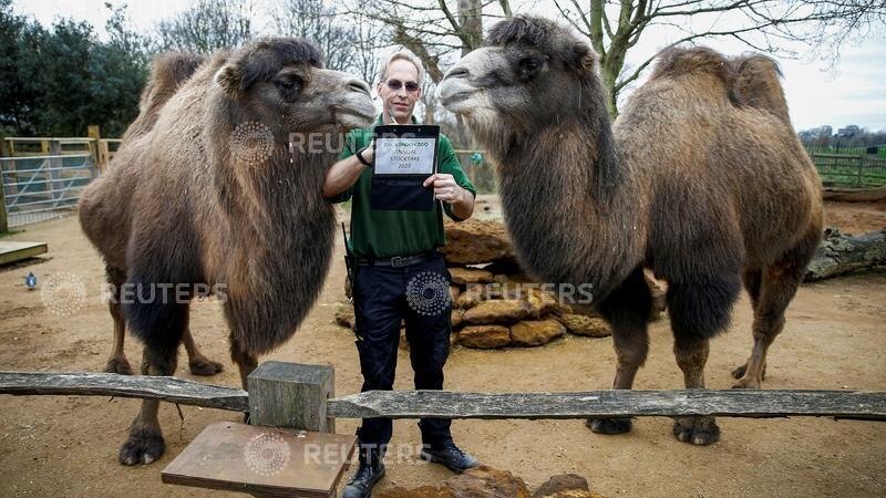 In Lockdown, London Zoo Fights to Survive