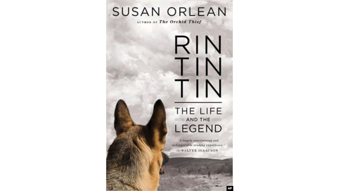 "Rin Tin Tin: The Life and the Legend" looks into the life of the dog that because a huge US star after being rescued from a French battlefield.
