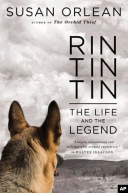 "Rin Tin Tin: The Life and the Legend" looks into the life of the dog that because a huge US star after being rescued from a French battlefield.