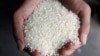 Đài Loan bác bỏ tin gạo xuất khẩu sang Mỹ bị ô nhiễm