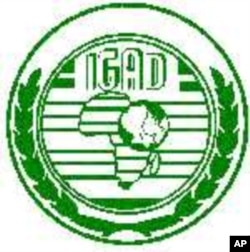 IGAD Incapable of Resolving Somali Crisis, Says Analyst