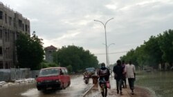 Qui est derrière le transport massif de jeunes Tchadiens vers l'est?