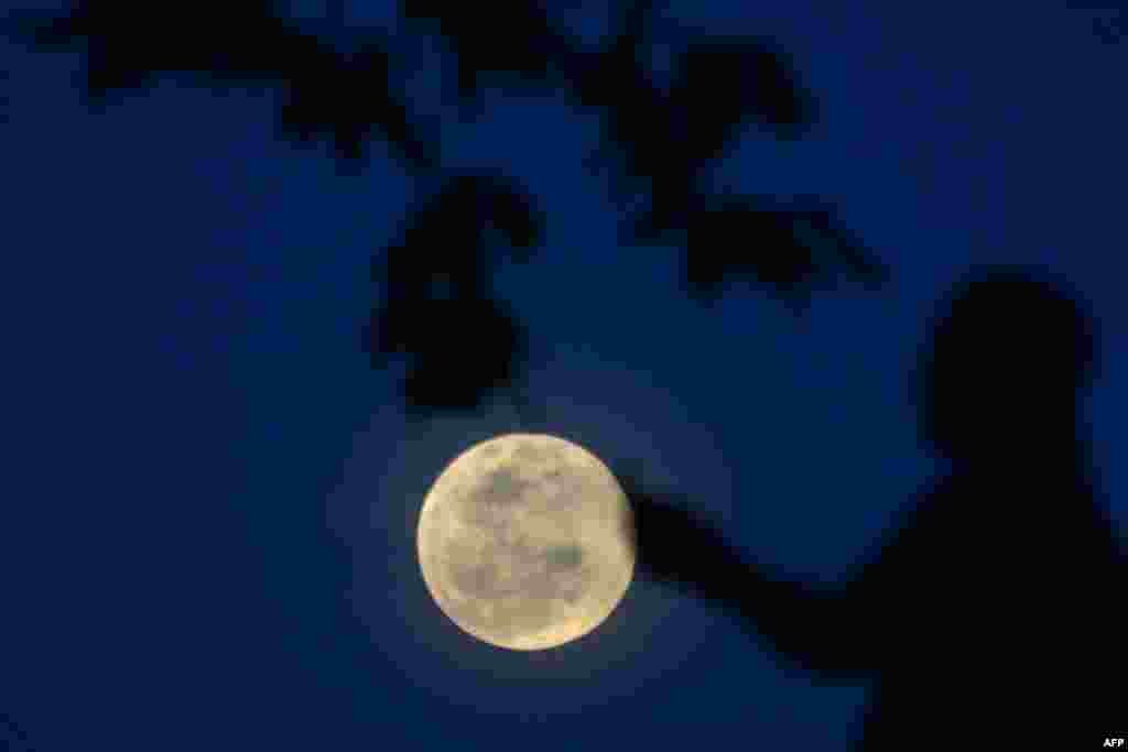A man enjoy the full moon at the Conservation Response Unit (CRU) in Aceh province, Indonesia.