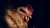 A chicken rests inside a cage at the La Granja Live Poultry Corp. store, Feb. 7, 2025, in New York. A recent study found that bird flu has silently spread from animals to some veterinarians.