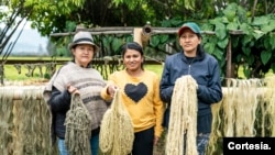 Artesanas en Colombia trabajan con diseñadoras colombianas para pigmentar sus tejidos con tintas obtenidas a partir de la hoja de coca. [Foto: Liliana Merizalde]