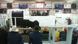 Caldwell မြို့က နွားအရောင်းအဝယ် လုပ်ငန်း