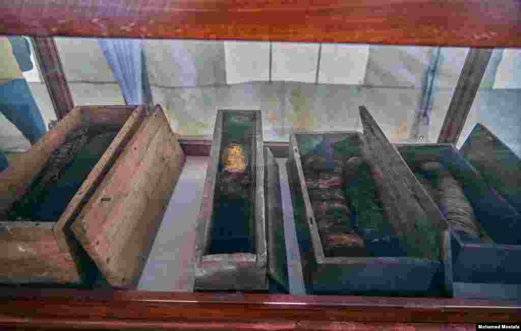 A group of mummified cats found inside wooden boxes with lids decorated with hieroglyphic texts. (H. Elrasam/VOA) 