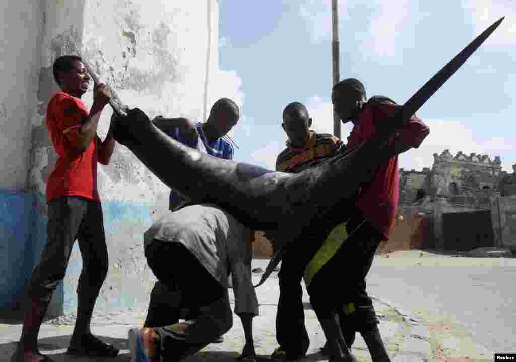 People help a fisherman to load a swordfish, caught from waters of the Indian Ocean, on his back as he makes his way to the market in Somalia&#39;s capital Mogadishu, Somalia.