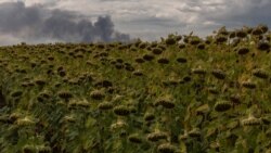 This photograph shows a sunflower field with smoke rising in the background from a warehouse following a Russian air attack near Boryspil, Kyiv region on August 27, 2026, amid the Russian invasion of Ukraine.