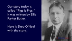 Pigs is Pigs by Ellis Parker Butler