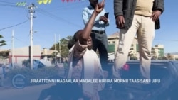 Jiraattonni Magaala Maqalee Hiriira Taasisanii Jiru