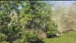 Mesaj Prezidan Donald Trump sou Eta Inyon an