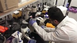 ຢາແກ້ປວດ ໃນອະນາຄົດ ອາດຮວມທັງ ແມ່ເຫຼັກ