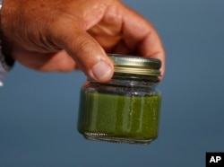 FILE - In this Sept. 15, 2017, photo, charter boat Capt. Dave Spangler holds a sample of algae from Maumee Bay in Lake Erie in Oregon, Ohio.