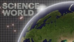 Science World