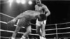 Combat du siècle Mohamed Ali-George Foreman : 42 ans après