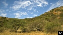 Plant diversity is key to a healthy ecosystem and a buffer against desertification in Samburu National Reserve, Kenya.