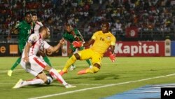 Afcon 20115 (Zambia, Tunisia)