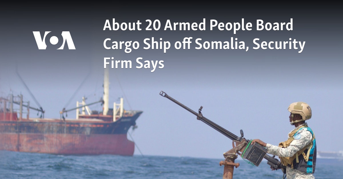 About 20 Armed People Board Cargo Ship off Somalia, Security Firm Says