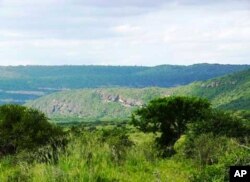 Conservationist Dale Howarth says the presence of white lions significantly enhances a species-rich part of South Africa known as the ‘Albany Hotspot’