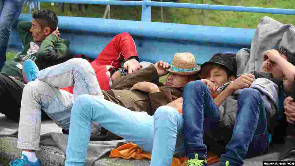 Young men hoping to find work make up a large portion of the refugee population moving from the Middle East and Africa toward Europe, at Harmica, Croatia, Sept. 20, 2015.