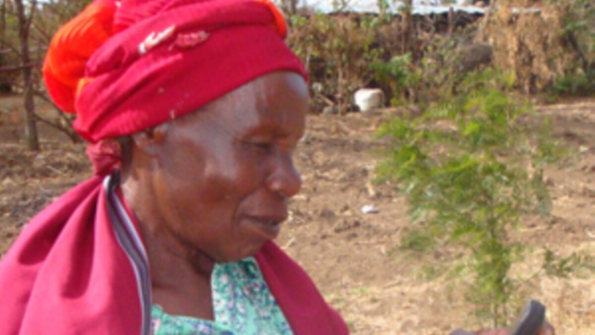 In Kenya, LowCost Crop Insurance for Small Farmers