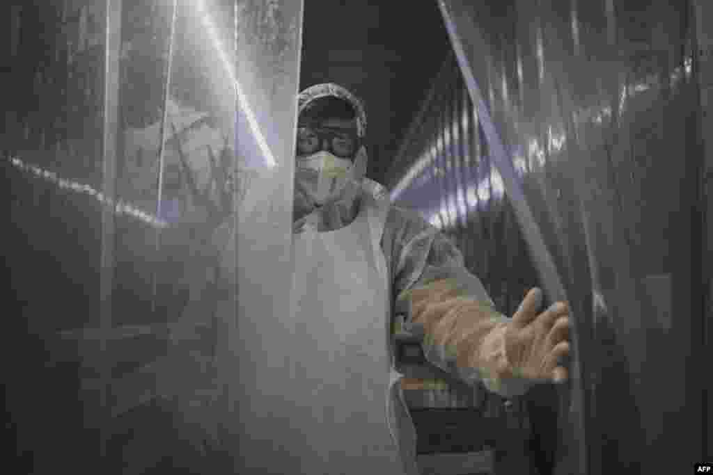 A morgue attendant at a funeral company keeps the curtain open from inside a refrigerated container where bodies of patients deceased with COVID-19 related illnesses are kept isolated ahead of their burials, in Johannesburg, South Africa.