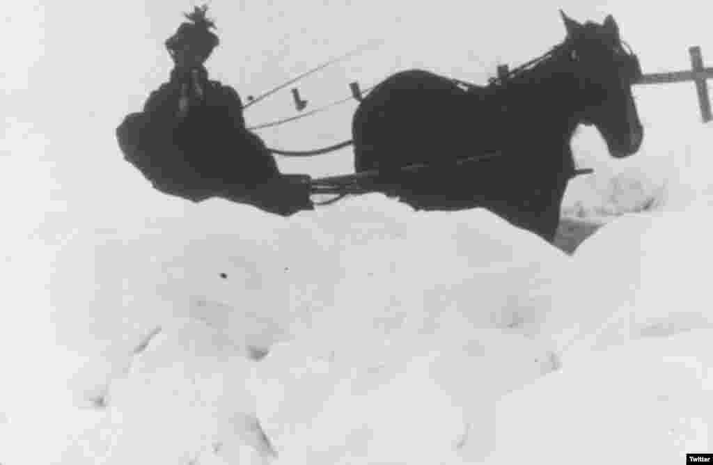 موزه اسمیتسونین در واشنگتن با این عکس اعلام کرده تعطیل است. عکسی از یک برف تاریخی در سال ۱۹۱۰.
