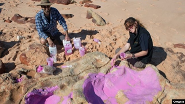 Los científicos han usado drones para grabar zonas de difícil acceso donde se han encontrado algunas de las pisadas de dinosaurio más grandes del mundo.