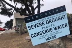 Знак з написами «Сувора посуха», «Бережіть воду» в Каліфорнії