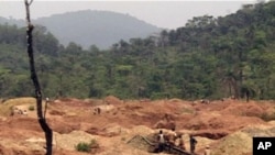 Hundreds of artisanal miners sift the gold-rich mud in open pits in Baomahun, southern Sierra Leone