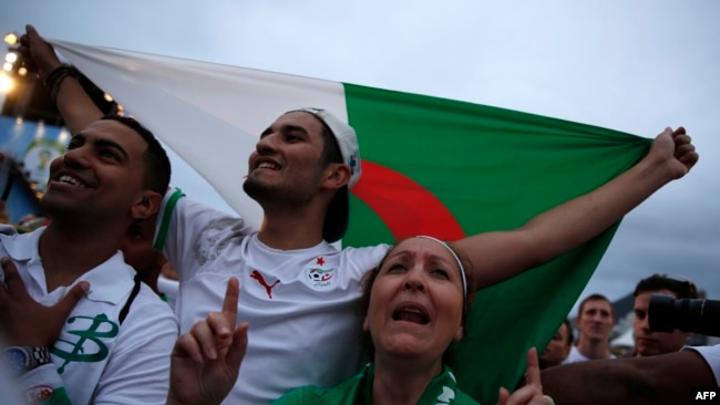 Des supporters algériens, le 30 juin 2014.
