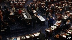 Senat Amerika yang dikuasai Partai Demokrat meloloskan RUU anggaran dengan suara 67 berbanding 33 hari Selasa (17/12). 