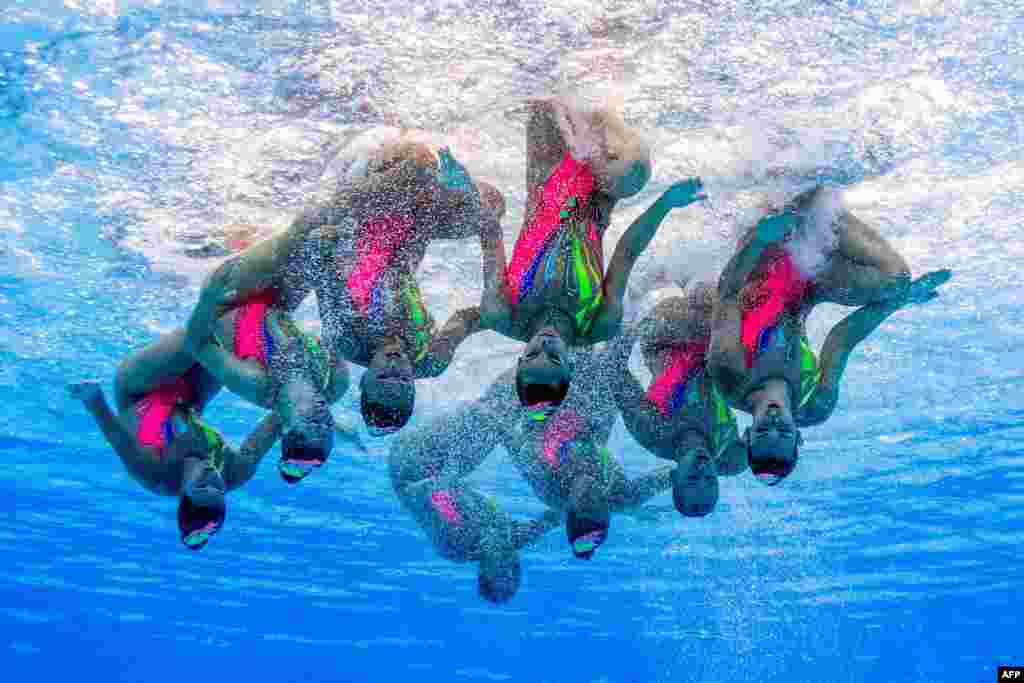헝가리 부다페스트에서 진행된 제17회 세계수영선수권대회 여자 싱크로나이즈드 예선전에서 프랑스 대표팀이 연기하고 있다.