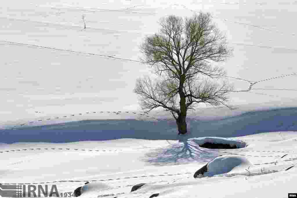 برف سنگین در روستای سردابه در دامنه سبلان در غرب اردبیل عکس: رضا زارع