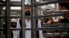 Афганские власти освободят 72 опасных задержанных