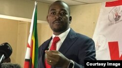 Mutungamiri weMDC VaNelson Chamisa vanoti nyika yarasikirwa negamba munyaya dzemimhanzi pamwe nekuchengetedzwa kwetsika nemagariro.