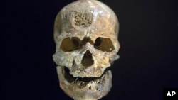 FiLE - The 28,000-year-old skull of a Homo sapien called Cro-Magnon, found in Dordogne, France, is displayed during a press visit at Musee de l'Homme, in Paris, France, Oct. 14, 2015.