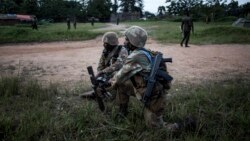 Démarrage imminent de la réintégration sociale des ex-miliciens congolais