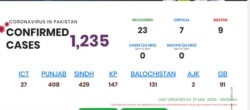 پاکستان میں کرونا وائرس کے سب سے زیادہ کیسز سندھ اور پنجاب میں ہیں۔