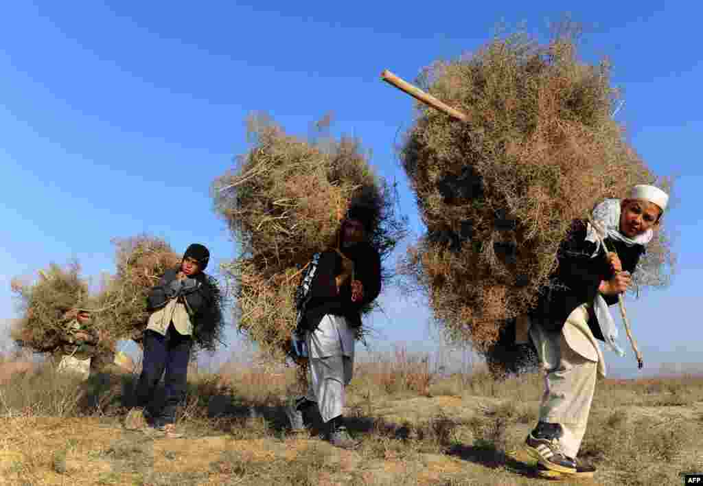 Anak-anak laki-laki mengangkut kayu bakar di punggung mereka di Herat, Afghanistan. Pengangguran yang tinggi dan biaya hidup yang tinggi telah meningkatkan ketidakberdayaan terhadap cuaca bagi sebagian besar penduduk Afghanistan.