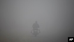 A man rides a motorcycle on a morning thick with smog on the outskirts of New Delhi, India, Jan. 5, 2019. A Sunday morning rain improved the air quality to "very poor."