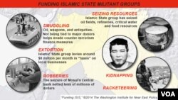 Funding Sources for Islamic State Groups