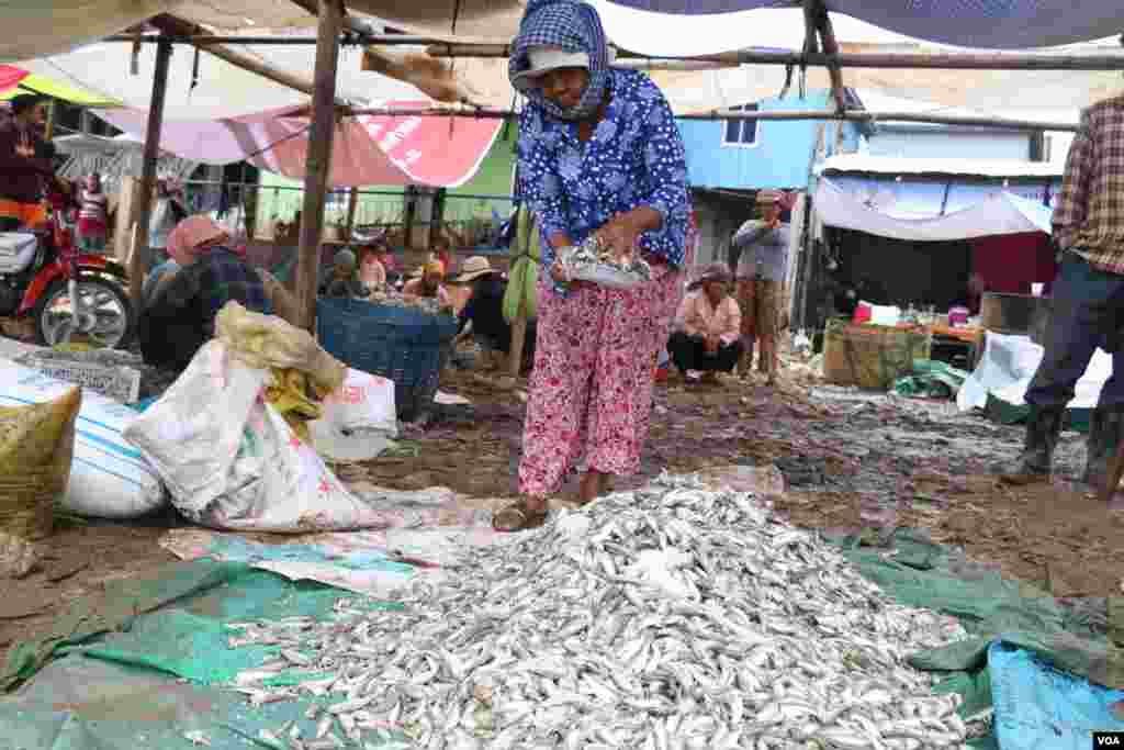 ទិដ្ឋភាព​ទូទៅ​នៃការរកត្រីប្រហុកនៅក្នុងតំបន់ផែនេសាទគីឡូម៉ែត្រលេខ៩ ក្នុងខណ្ឌឬស្សីកែវ រាជធានីភ្នំពេញ នៅថ្ងៃទី២៧ ខែធ្នូ ឆ្នាំ២០១៧ (ស៊ុន ណារិន/VOA)