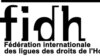 FIDH: Avropanın Avropa Oyunlarında iştirakı siyasi məhbuslara təhqirdir