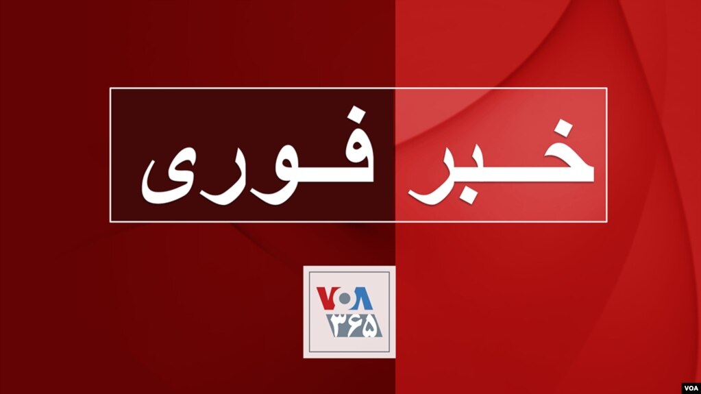 خبر فوری