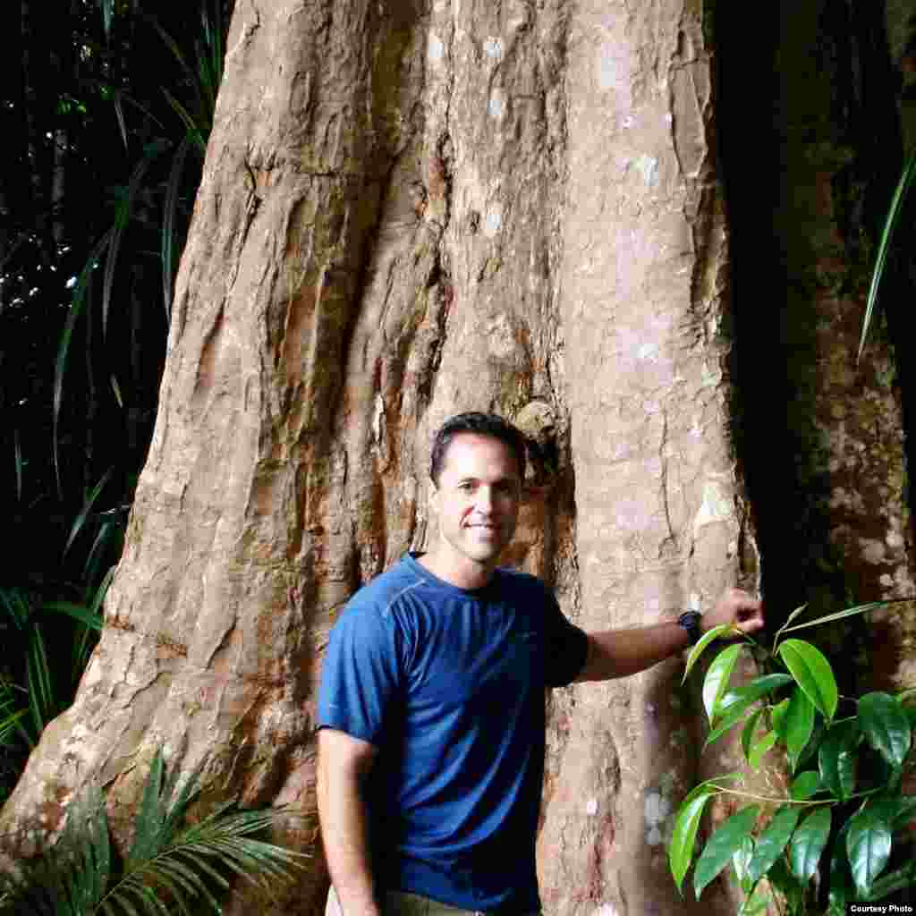 Ecologist Greg Asner leads the Carnegie Institution Spectranomics project to map canopy function and biological diversity throughout tropical forests of the world. (Robin Martin)