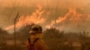 Cháy rừng ở nam California thiêu rụi 6.000 hectare trong 12 giờ
