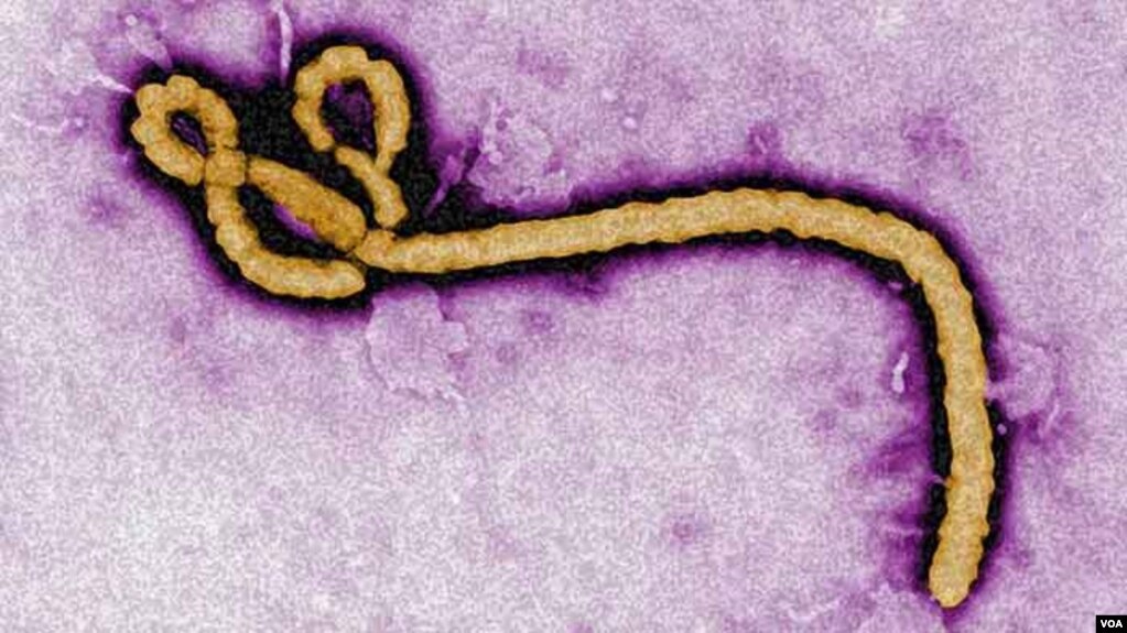 Cutar Ebola